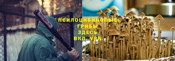 ПСИЛОЦИБИНОВЫЕ ГРИБЫ Медногорск